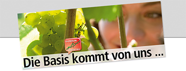 online shop bewerben